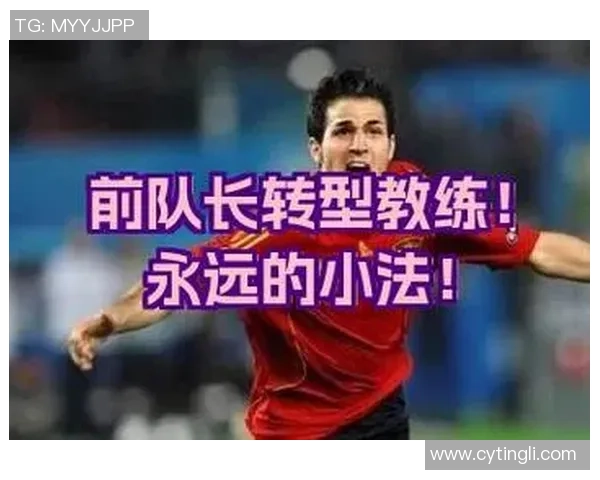 足球纪实：记录成都足球队的转型之路